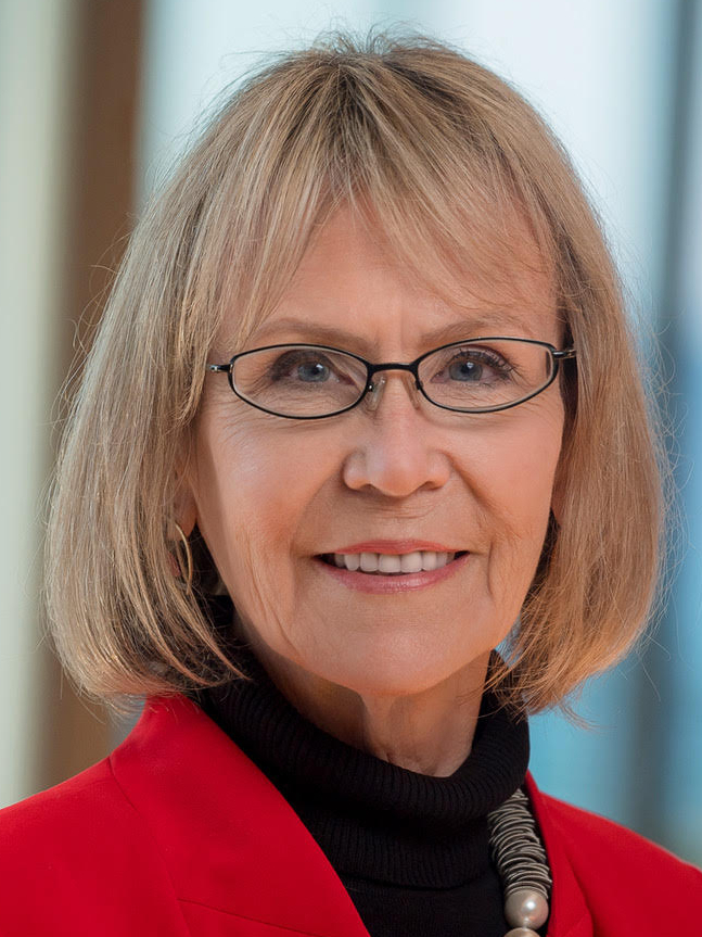 sts京都に NPO STS forum